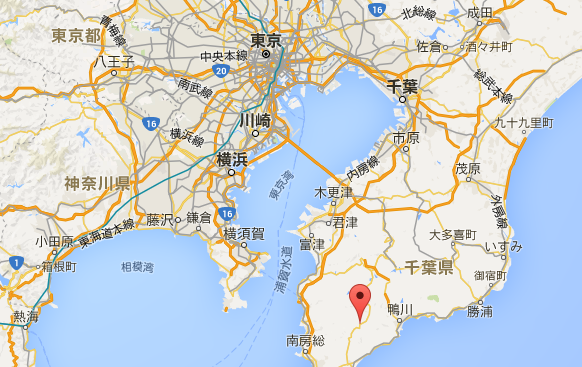 千葉県南房総市大井686 嶺岡牧場の地図