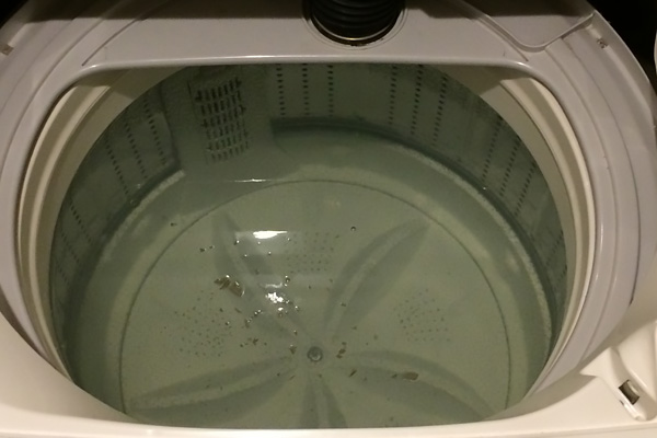 洗濯槽の裏についた汚れ